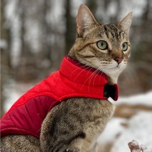 Heart to Tail pet cat/dog vest red xs/s used in good condition